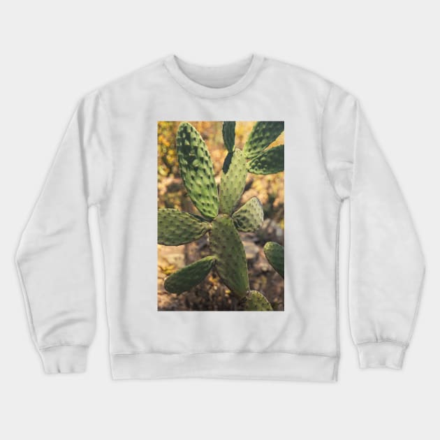 A Prickly Experience © Crewneck Sweatshirt by PrinceJohn